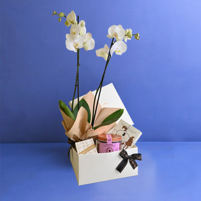 Orchid Hamper